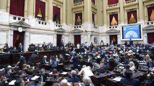 La Cámara de Diputados en una sesión especial de ayer miércoles sepultó la ley de financiamiento a las universidades que había sancionado el Congreso-