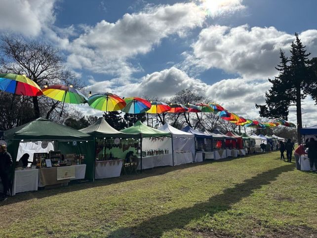 Hasta el domingo se desarrolla ExpoVenado 2025, la 89° edición de la muestra agroindustrial del sur santafesino