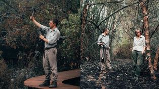 El santafesino que es voluntario en Corrientes buscando a los animales tras los incendios