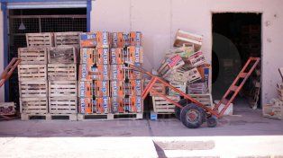 La sequía y la ola de calor impactan en el precio de frutas y verduras, según datos del Mercado Central y del Índice de Precios al Consumidor (IPC)