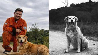 Ruka, la heroína de cuatro patas que dejó su huella en General Ramírez