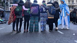 Paranaenses en lucha. Cerca de 30 mujeres viajaron desde la capital entrerriana al Congreso de la Nación para presenciar la jornada histórica.
