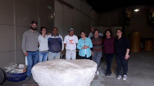 Hallan restos fósiles de un gliptodonte en un camino rural de San José de la Esquina