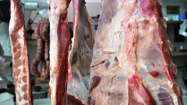 El campo anunció un paro de ocho días por el cierre de la exportación de carne vacuna