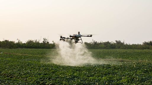 Año Niño y drones: una solución para entrar al lote