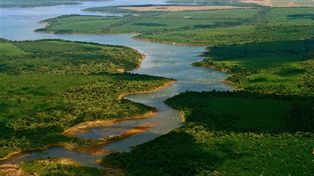 Los Esteros del Iberá, entre los destinos elegidos por el New York Times