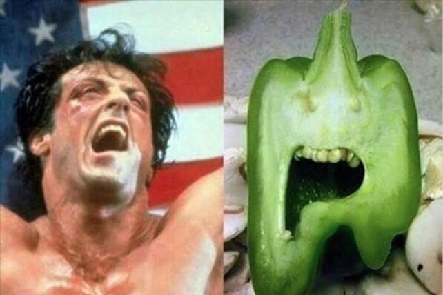 Personas, animales y objetos que son similares entre sí