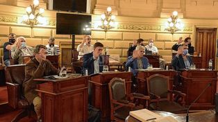 Presupuesto: los senadores dijeron que los aumentos tributarios no superan la inflación