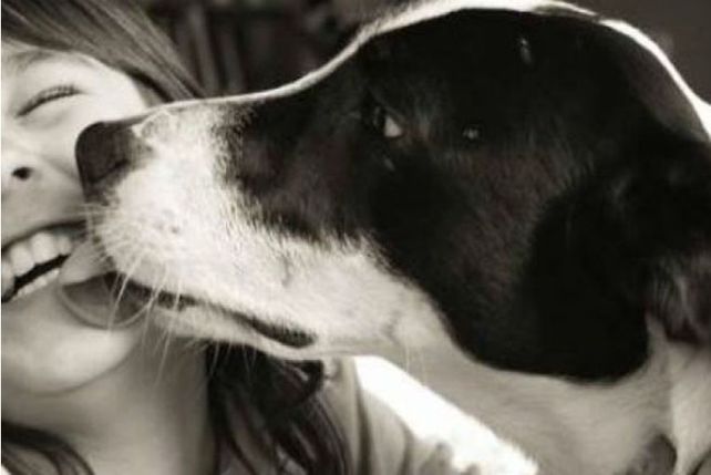 ¿Los besos de los perros son buenos para la salud?