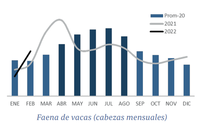 Ganadería: buen momento para reponer vientres