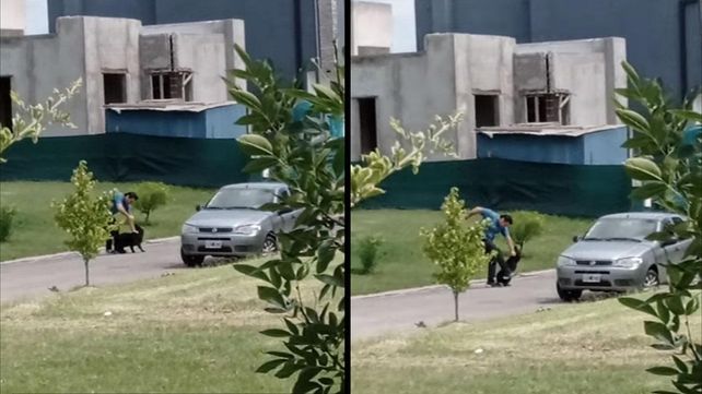 El maltratador fue sorprendido por un vecino&nbsp; cuando le pegaba salvajemente a su perro.&nbsp;