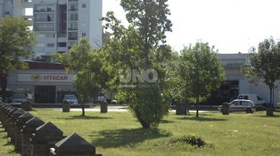 Inhibieron los bienes de los titulares de dos concesionarias de autos