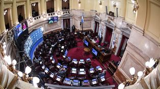 Acuerdo con el FMI: el Senado lo aprobaría este jueves