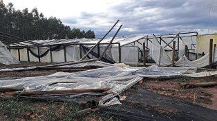 Temporal en La Criolla: a los viveros les llevará meses poder recuperarse