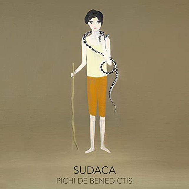 La tapa de "Sudaca": una ilustración de Carolina Raquel Antich, artista rosarina residente en Venecia.