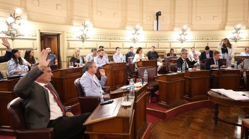 El Senado dio media sanción a la ley de municipios, sin la figura del viceintendente