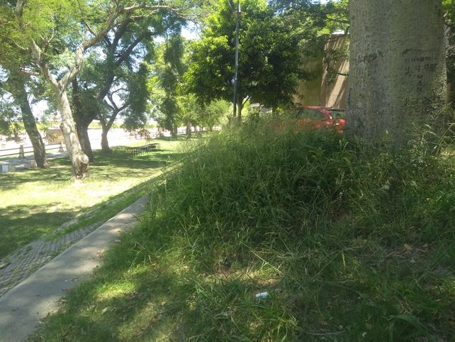 Lo que fue parte de la secretaría de deporte municipal