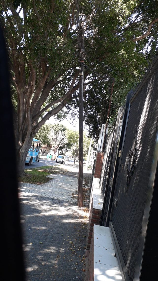 Se multiplican en Rosario los postes a punto de caer