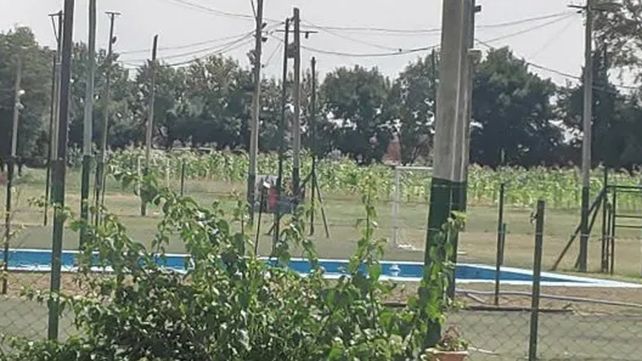 Arcos y cultivos.&nbsp;Un sector del campo de deportes ya es un vivero.