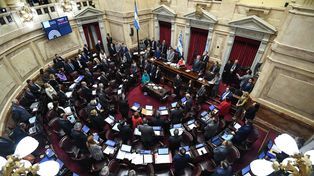 La Cámara de Senadores aprobó la baja de la edad de imputabilidad de 16 a 14 años.