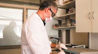 Iván Marcipar lidera el trabajo del laboratorio de la UNL que desarrolló la vacuna nasal contra el mal de Chagas&nbsp;