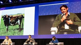 Rodolfo Zechner y Matías Peluffo, durante su disertación en el Congreso Lechero de Crea, en Rosario.