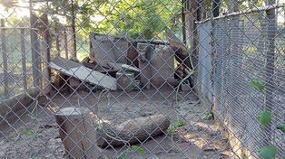 La impotencia y la tristeza de un lector en una visita a la Granja La Esmeralda