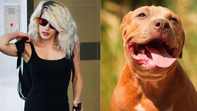 La confesión de la mujer que tuvo sexo con un pitbull: Me arruinó la vida