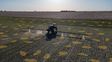 Menos glifosato, más precisión: la propuesta de una agtech local