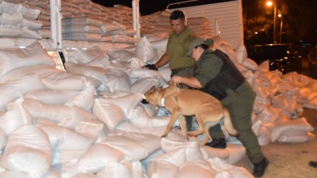 Un perro entrenado para detectar drogas fue determinante a la hora del hallazgo de los 427 kilos de cocaína en el peaje de General Lagos.