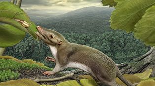 El impacto de un asteroide contra la Tierra extinguió los dinosaurios