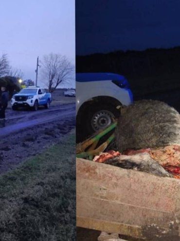 Decomisan 250 kilos de carne vacuna en un operativo realizado en Bovril