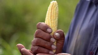 Gestión de los territorios indígenas