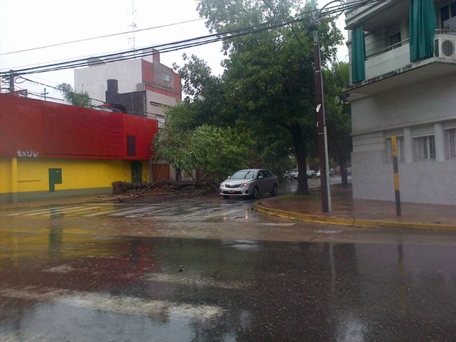 La zona de Suipacha y Saavedra./ gentileza Mariano.