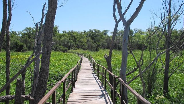 Avanza la ley de ampliación del Parque Nacional Pre Delta