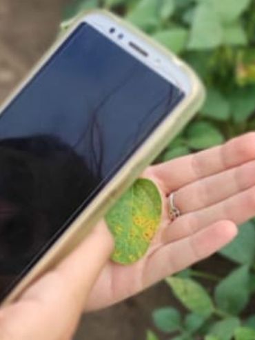 Conocer el ADN de las Agtech para saber cuál se ajusta mejor a cada necesidad