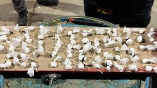 Federación: dos hombres detenidos con cocaína y marihuana en un operativo vehicular