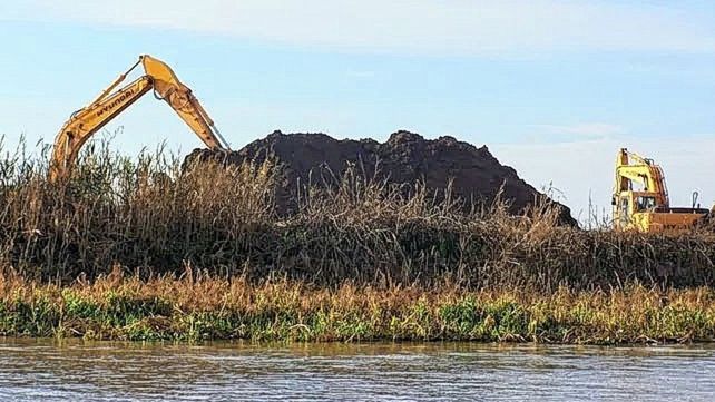 Denuncian que venden terrenos en el área protegida del delta del Paraná