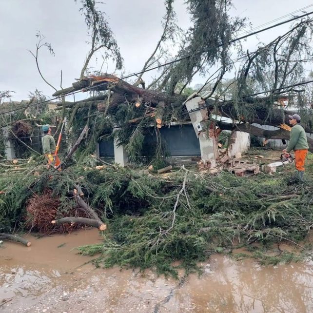 Al menos una treintena de viviendas sufrió voladura de techos