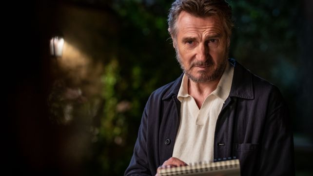 Liam Neeson interpreta a un artista plástico atascado en su carrera.