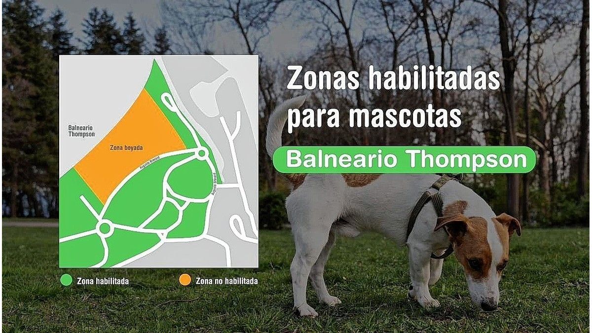 Ingreso de mascotas: el Municipio precisó los sectores habilitados en el Thompson