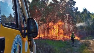 Concordia: sofocaron incendio de grandes proporciones