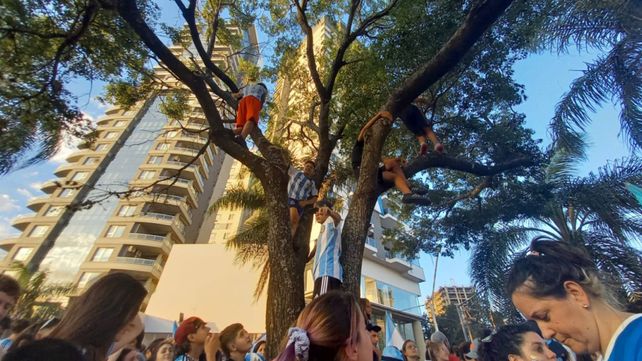 Argentina jugará la final de la Copa Mundial y despertó la euforia de los santafesinos