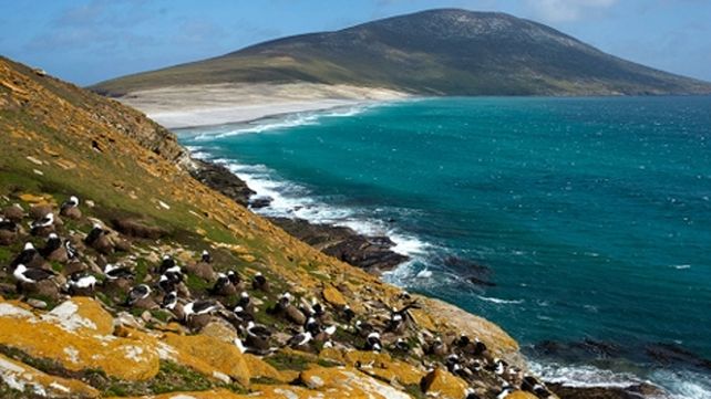 Islas Malvinas. La Armada contradice la información británica.