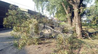 Preocupa a los vecinos el estado de abandono del Jardín del Líbano