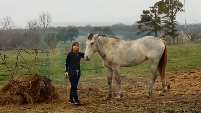 En la escuela N° 39 de Villa Urquiza nació la cría de un caballo rescatado del cirujeo