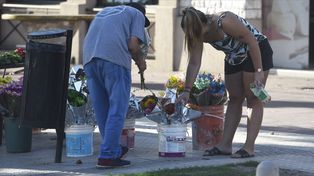 Los que venden flores de forma ambulante en la calle, llamados canasteros, suelen ser esporádicos y aparecen para las fechas comerciales.