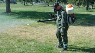 Fumigaciones