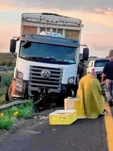 Camionero intentó esquivar un ciervo y despistó en la Autovía 14