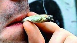 Cerca de 166 millones de personas consumen o han probado marihuana